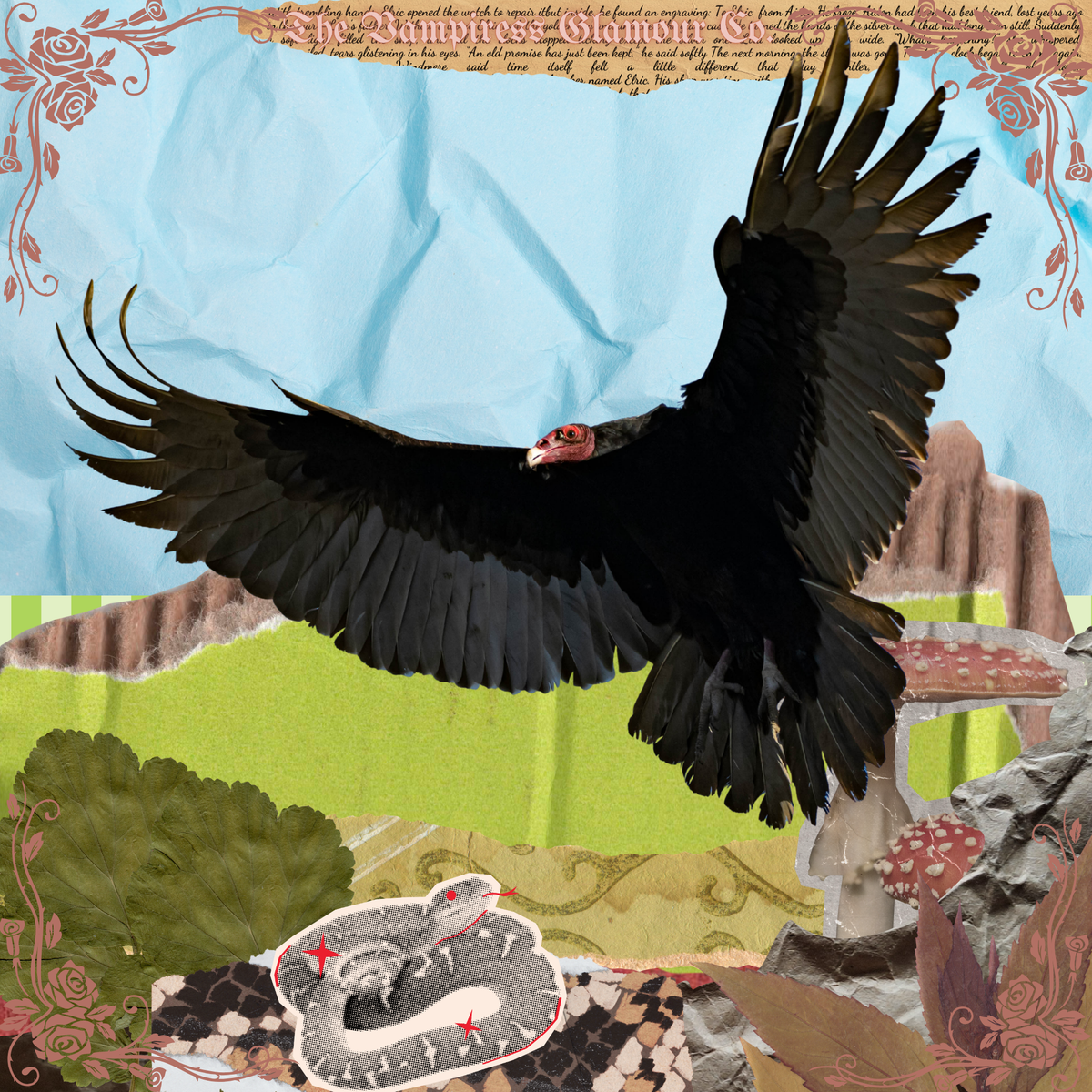 Le Grand Purificateur- VII. The Sacred Avian Spirit of the Vulture Oil