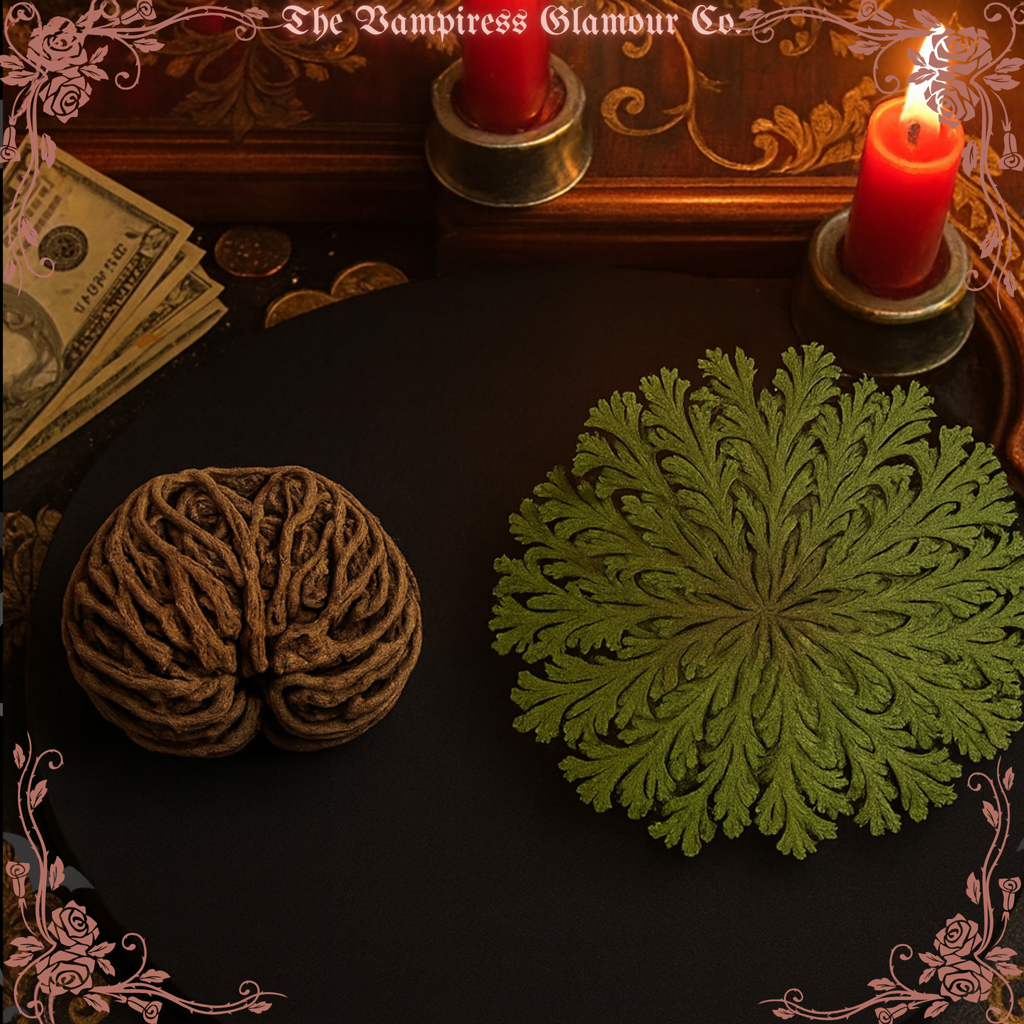 Rose of Jericho Resurrection Flower