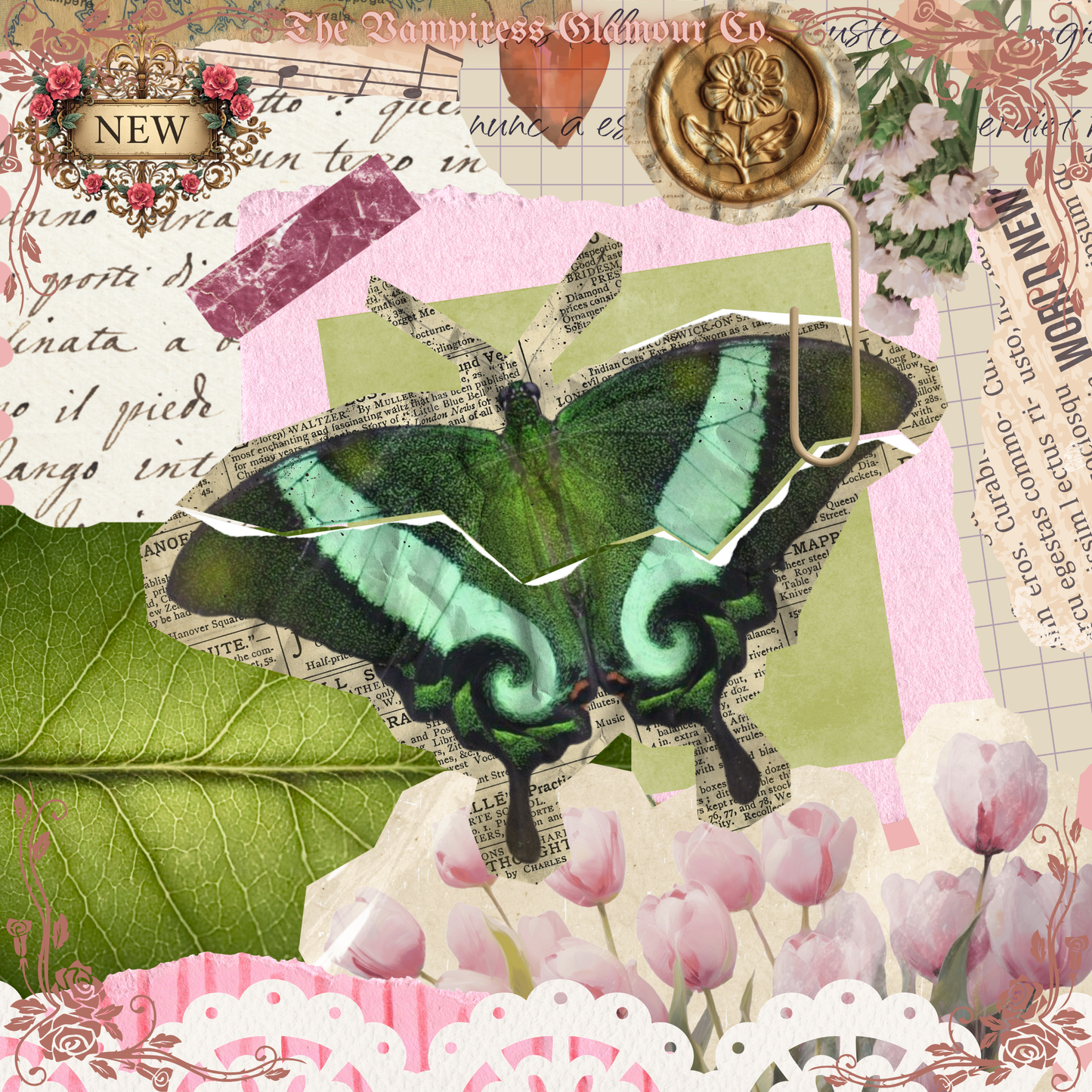 Le Papillon Éveillé- Transformation III. Embodied Identity & Sustained Becoming