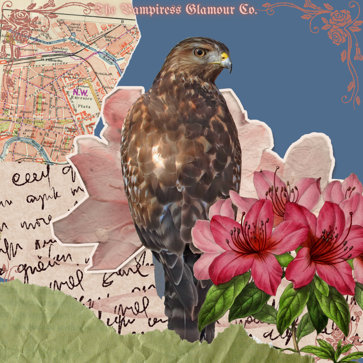 La Griffe Souveraine- V. The Sacred Avian Spirit of the Hawk Oil