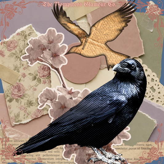 Le Voile Noir- IV. The Sacred Avian Spirit of the Raven Oil