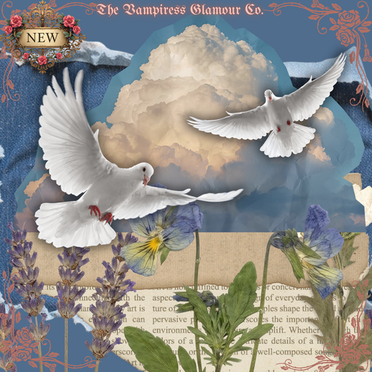 La Branche d’Olivier- II. The Sacred Avian Spirit of the Dove Oil