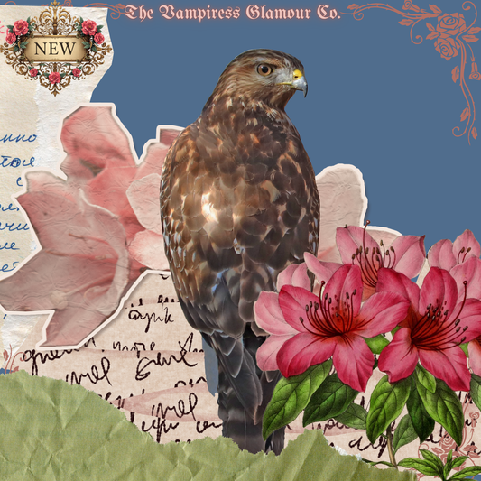 La Griffe Souveraine- V. The Sacred Avian Spirit of the Hawk Oil