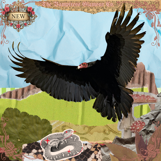 Le Grand Purificateur- VII. The Sacred Avian Spirit of the Vulture Oil