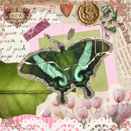 Le Papillon Éveillé- Transformation III. Embodied Identity & Sustained Becoming
